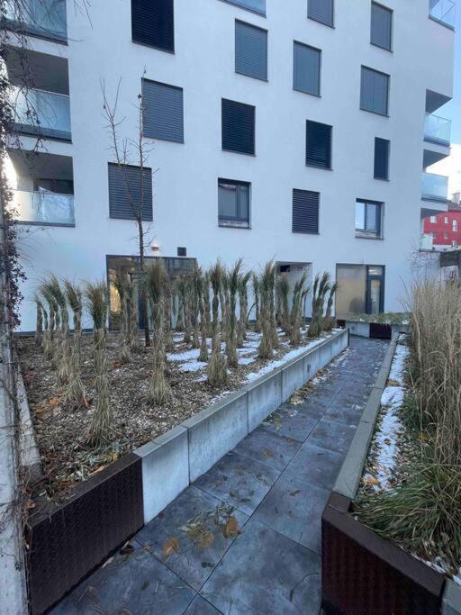 Apartmán Luxusny Byt Blizko Niv